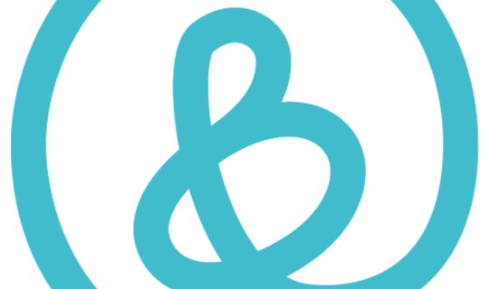 Bright Knowledge Logo