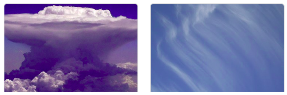 Introduction with Cloud AutoML Vision