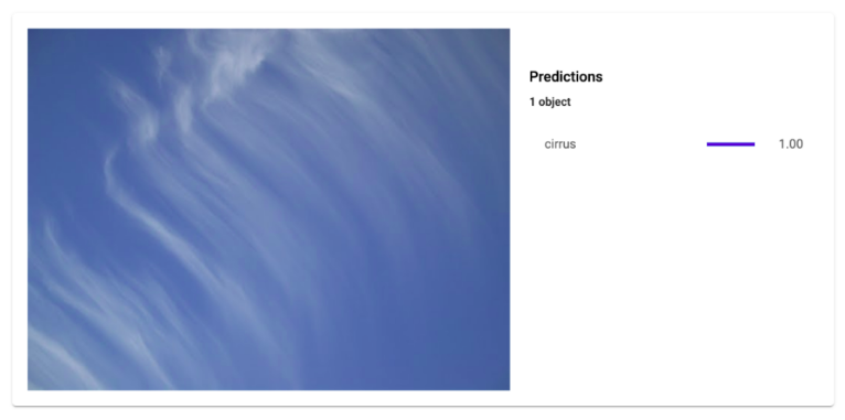 Introduction with Cloud AutoML Vision