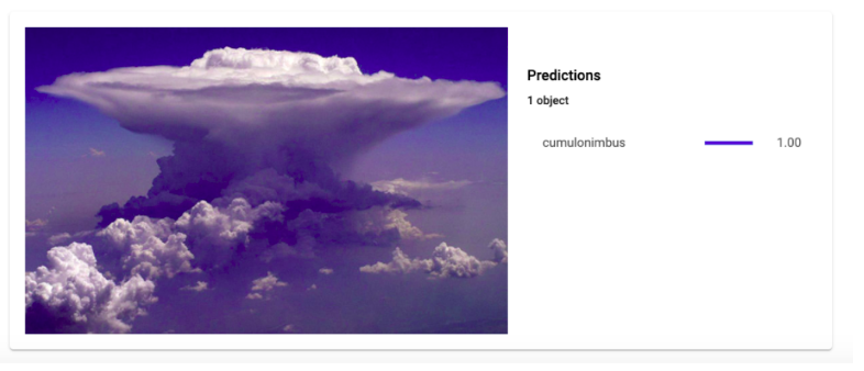Introduction with Cloud AutoML Vision