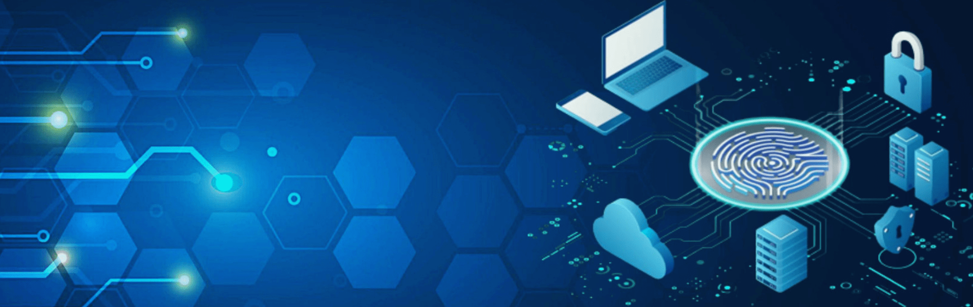 Data Security in Cloud