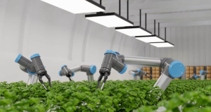 AI-Enabled Precision Agriculture: Revolutionizing Farming Practices for Sustainable Food Production