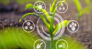AI-Enabled Precision Agriculture: Revolutionizing Farming Practices for Sustainable Food Production