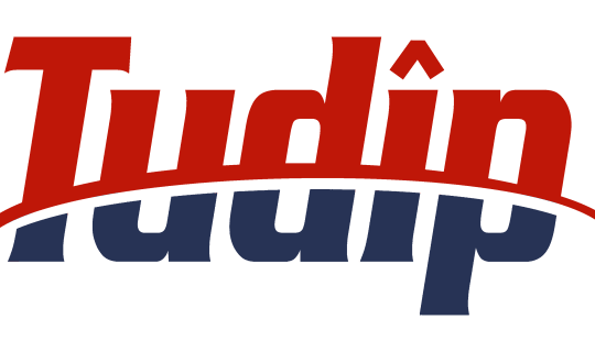 Tudip Logo
