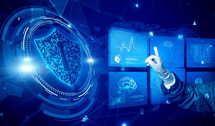 Safeguarding-Critical-Data-in-Healthcare